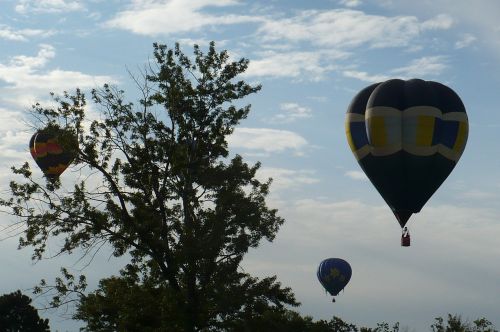 hot air balloons festival ballooning