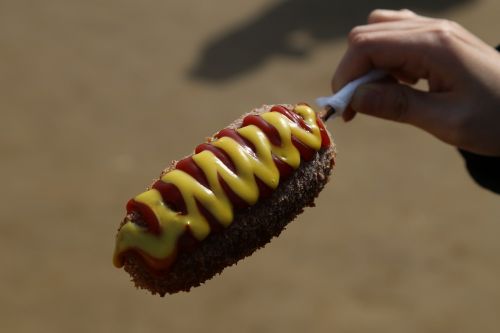 hotdog food delicious