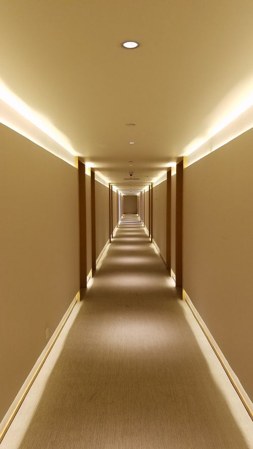 hotel corridor carpet