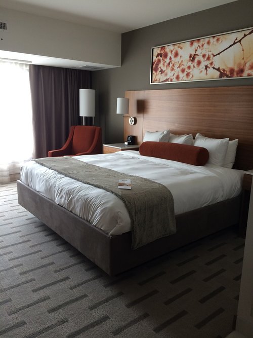 hotel  king bed  bedroom