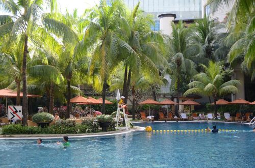 hotel swimming pool pool shangri-la hotel