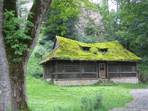 house field forest