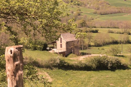 house field landscape