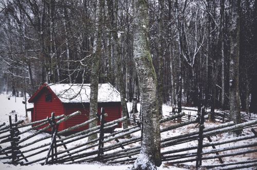 house trees snow