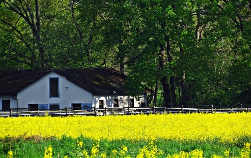 house cottage white