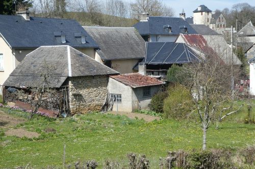 house lawn outdoor