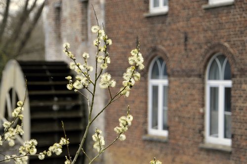 house  window  architecture