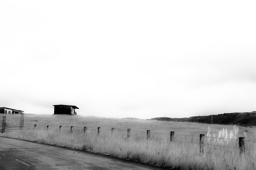 house  grass  landscape