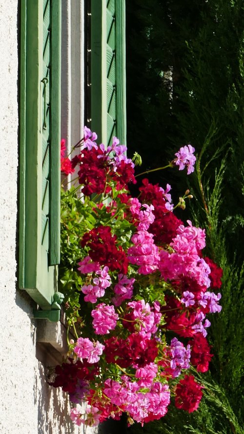 house  window  shutters