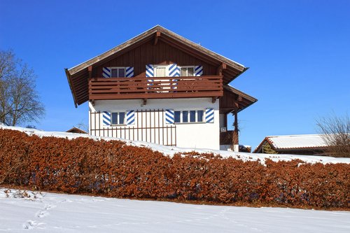house  hedge  winter