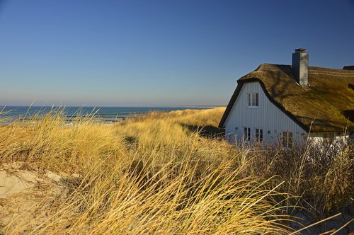house  thatched cottage  dune