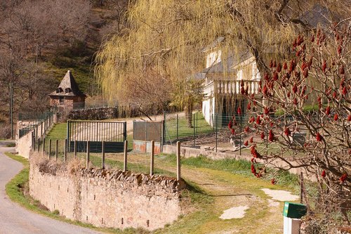 house  nature  landscape