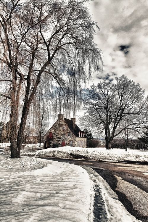 house landscape winter