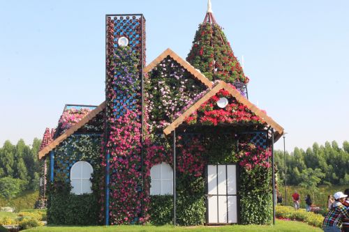 house flowers garden