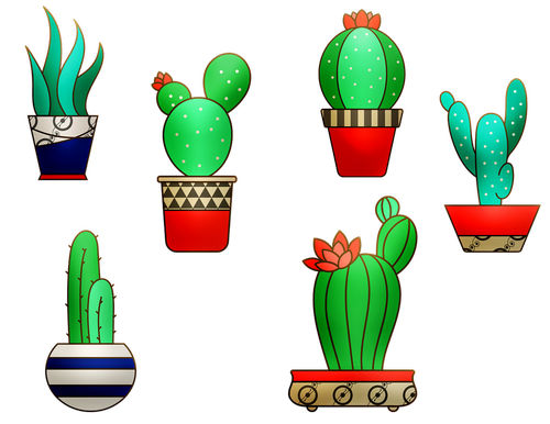 house plants  cactus  flowerpot