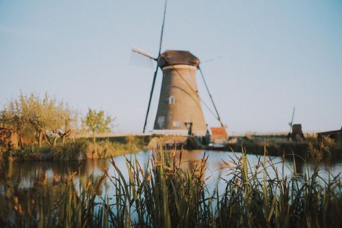 houses windmill park
