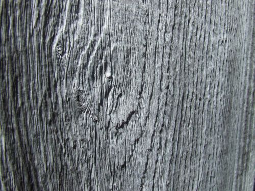 Wood Texture