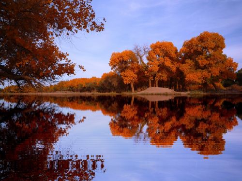 hu 杨美景 populus reflection picturesque scenery