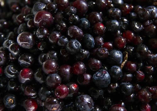 huckleberries fruit tasty