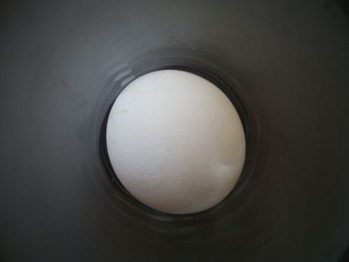 Egg