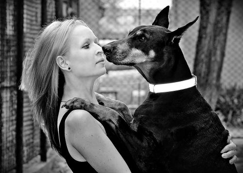 hug doberman blonde woman