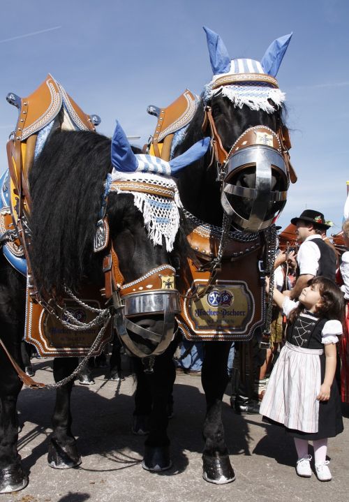 human costume parade