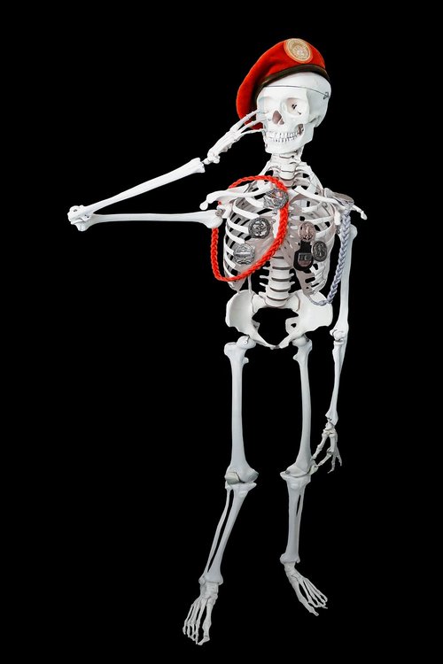 human  personal  skeleton