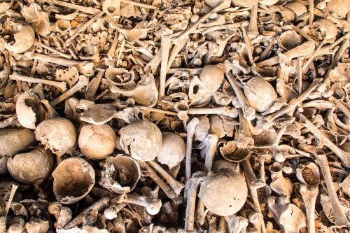 human bones world war death