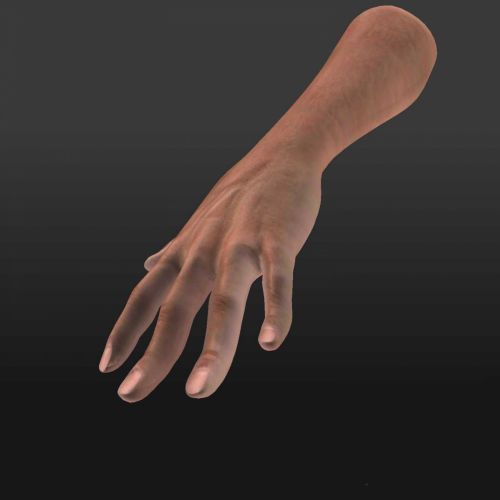 Human Hand