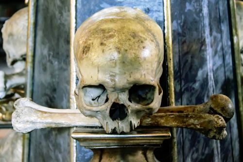 human skull skull death