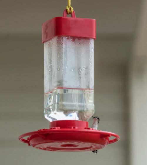 hummingbird feeder sitting
