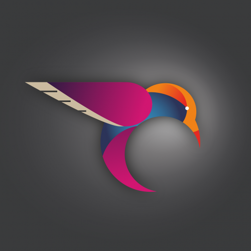 hummingbird bird vector