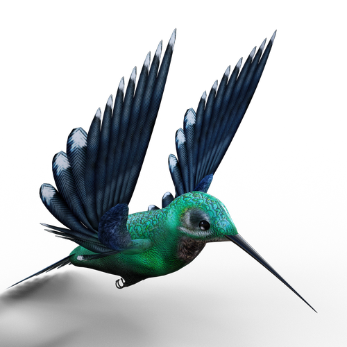 hummingbird  birds  bill