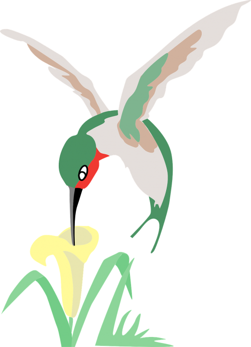 hummingbird green flower