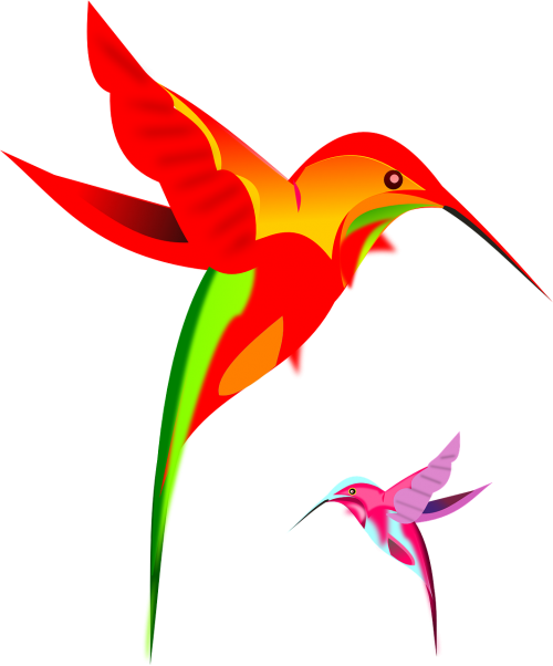 hummingbirds colorful kaleidoscope