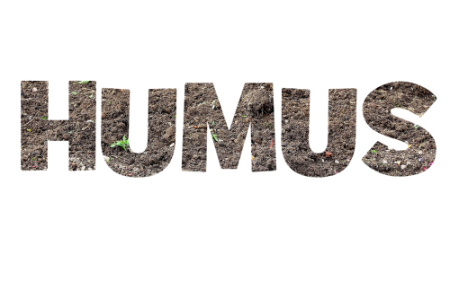humus font lettering