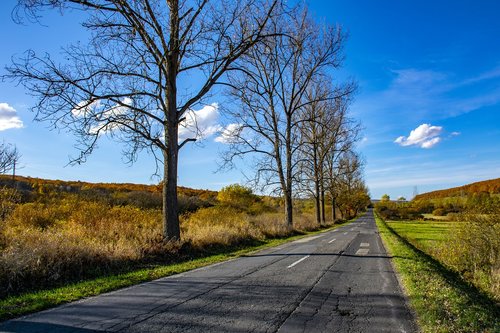 hungary  trizs  nature