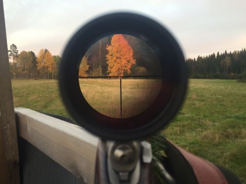 hunting autumn telescopic sight