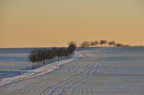 hüpstedt winter landscape