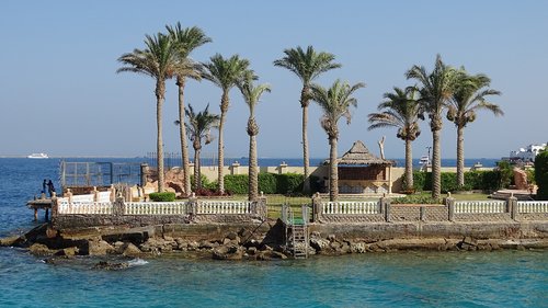 hurghada  sea  palm trees