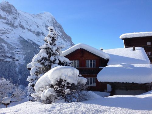 hut mountain hut snowy