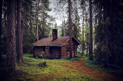 hut forest seefeld