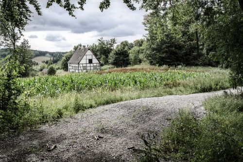 hut home forest