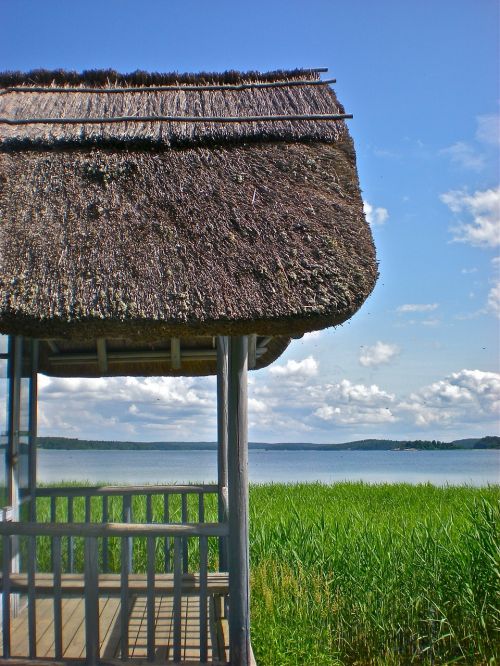 hut thatched roof reed