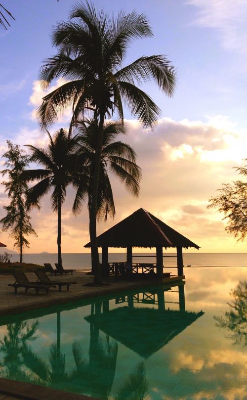hut resort palm tree