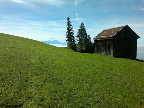 hut mountain hut meadow
