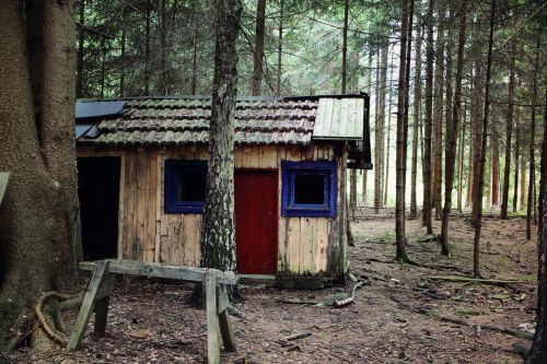 hut forest log cabin