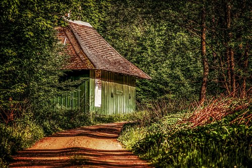 hut  roadside  forest