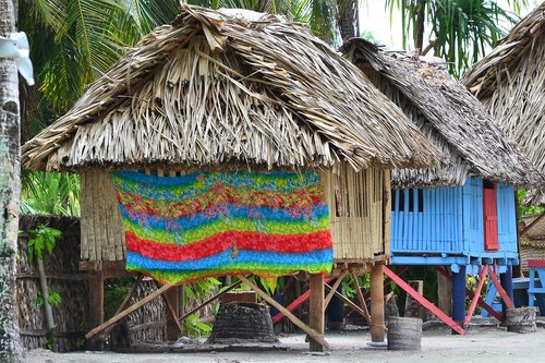 hut  grass  tropical