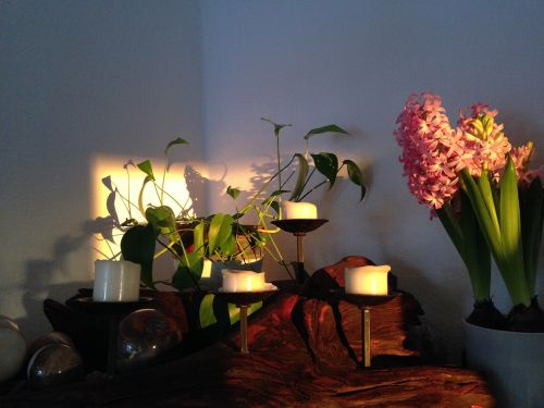 hyacinth stone ball candle